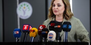 Ayşegul Dogan: Divê desthilat berpirsyariya xwe pêk bîne û gav biaveje