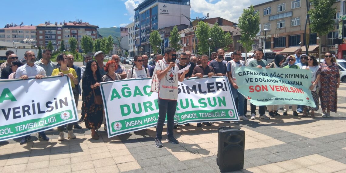 Çewlîg de seba daristananê Cafranî çalakî: Waştişê ma bi ca nêro ma do dest bi girewtişê nobete bikerê