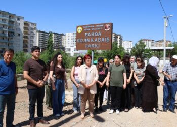 Farqîn de vera hêrişê Parka Rojîn Kabaîşe reaksîyon ame mojnayene