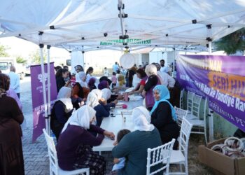 ‘Hevdîtinên Peyasê’ bi çalakiyên cihêreng didomin