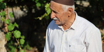 Şahidê serranê 90î: Ma wazenê mîyanê sîstemêko azad de biciwîyê