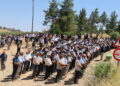 Otomatik taslak