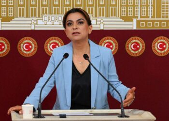 Gulîstan Kiliç Koçyîgît: Navnîşana çareseriyê siyaseta demokratîk û meclîs e