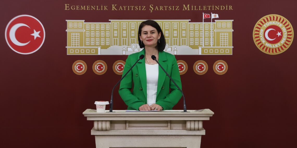 Gulcan Kaçmaz Sayyîgît: Divê meclis demildest bikeve dewrê û qanûnên pêwîst çêbike