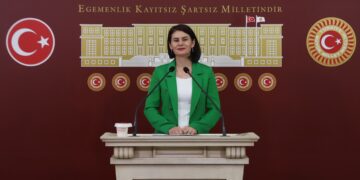 Gulcan Kaçmaz Sayyîgît: Divê meclis demildest bikeve dewrê û qanûnên pêwîst çêbike