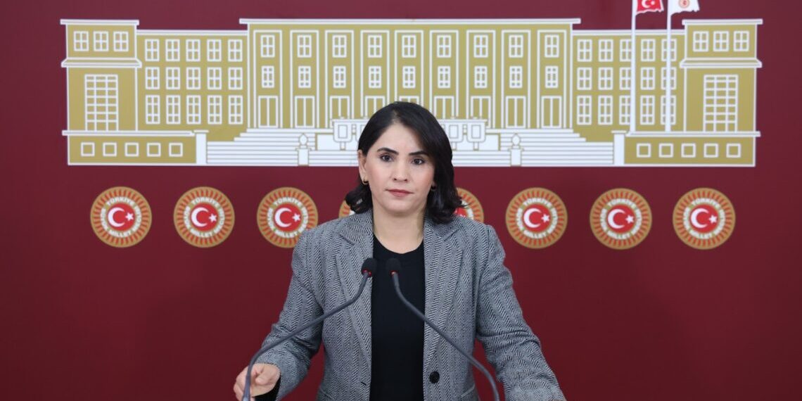 Newroz Uysal Aslanê îxraçkirina kedkarên cemaweriyê anî rojeva meclisê