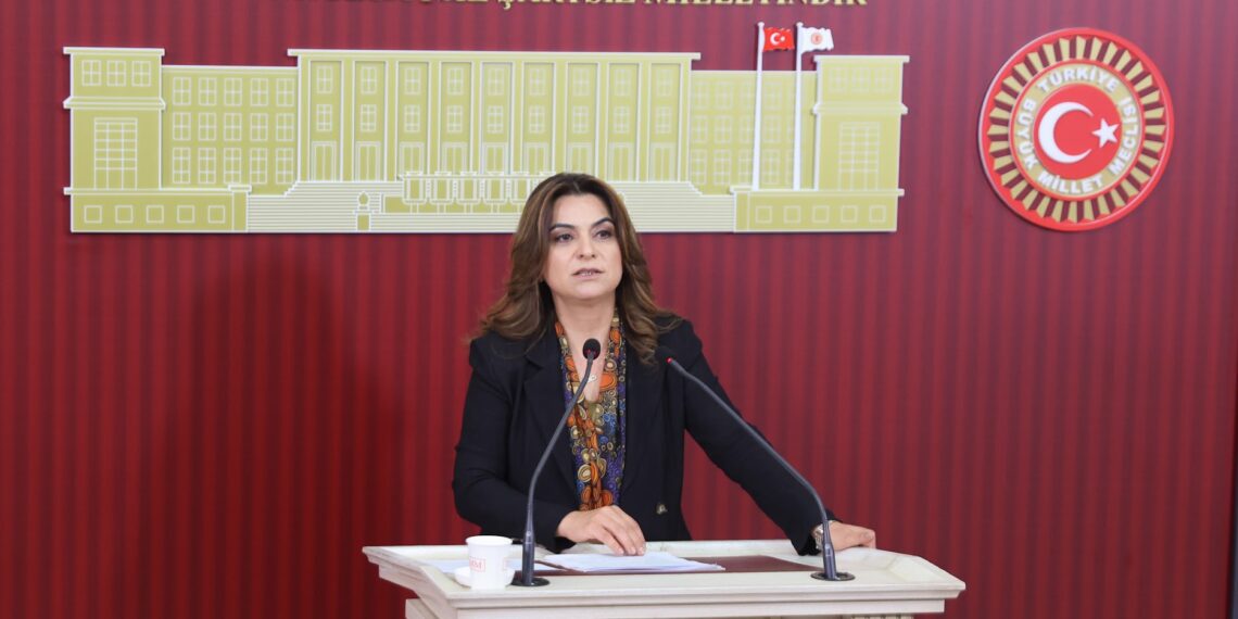 Gulistan Kiliç Koçyîgît: Divê Meclîs demildest berpirsyariya xwe bi cih bîne