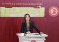Gulistan Kiliç Koçyîgît: Divê Meclîs demildest berpirsyariya xwe bi cih bîne