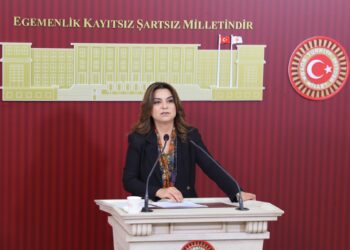 Gulistan Kiliç Koçyîgît: Divê Meclîs demildest berpirsyariya xwe bi cih bîne