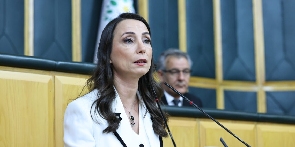 Hatîmogullari: Divê beriya betlaneyê çarçoveya qanûnî were rojeva Meclîsê