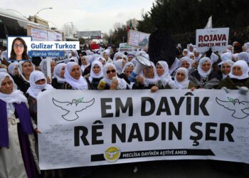 Dayîkên Aştiyê: Ji bo aştiyeke mayînde divê Rêber Apo azad be
