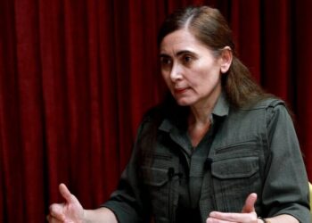 Hêlîn Umît: Divê statuya siyasî û hiqûqî ya Rêber Apo bê naskirin