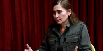 Hêlîn Umît: Divê statuya siyasî û hiqûqî ya Rêber Apo bê naskirin