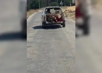 Efrîn de birnayîşê daran dewam keno!