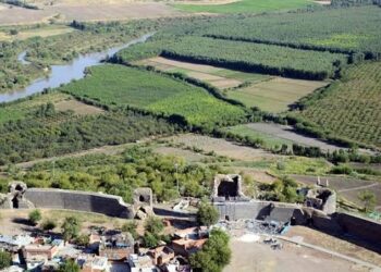 Baxçeyanê Hewselî de sereştişê ‘Tîryakî’