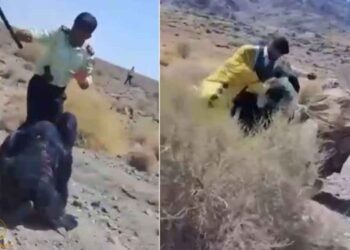 Hêzê rejîmê Îranî 7 cinîyê Belucî birîndar û 3 cinî zî destbendkerdî