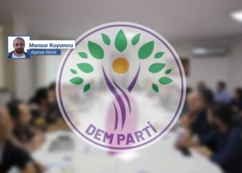 Paradoksê ziwan ê parlamenteranê DEM Partî!