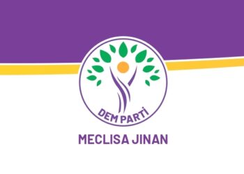 Meclîsê Cinîyan ê DEM Partî vengdayîşê têkoşînê vera Pakêta Hukmî ya 12. kerd