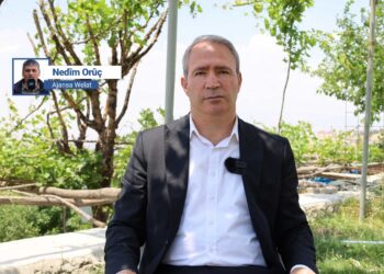 ‘Pevçûnên navxweyî bingeha xwe ji mêtîngerî û pergala dewletê digirin’