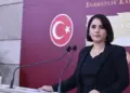 Newroz Uysal: Sebebê îadekerdişê pêşnîyarpersî çekuya Kurdîstanî yo
