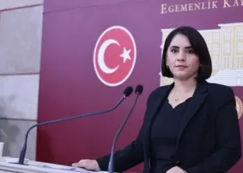 Newroz Uysal: Sebebê îadekerdişê pêşnîyarpersî çekuya Kurdîstanî yo
