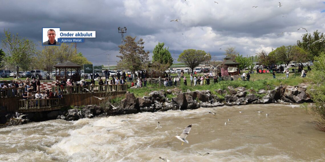 Xelk eleqeyek zêde nîşanî rêwîtiya masiyên Gola Wanê dide