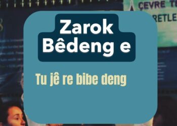 Êlih de îstîsmarê gedeyêk: Bira ame girewtiş, cipersayîşê pîyî dewan keno