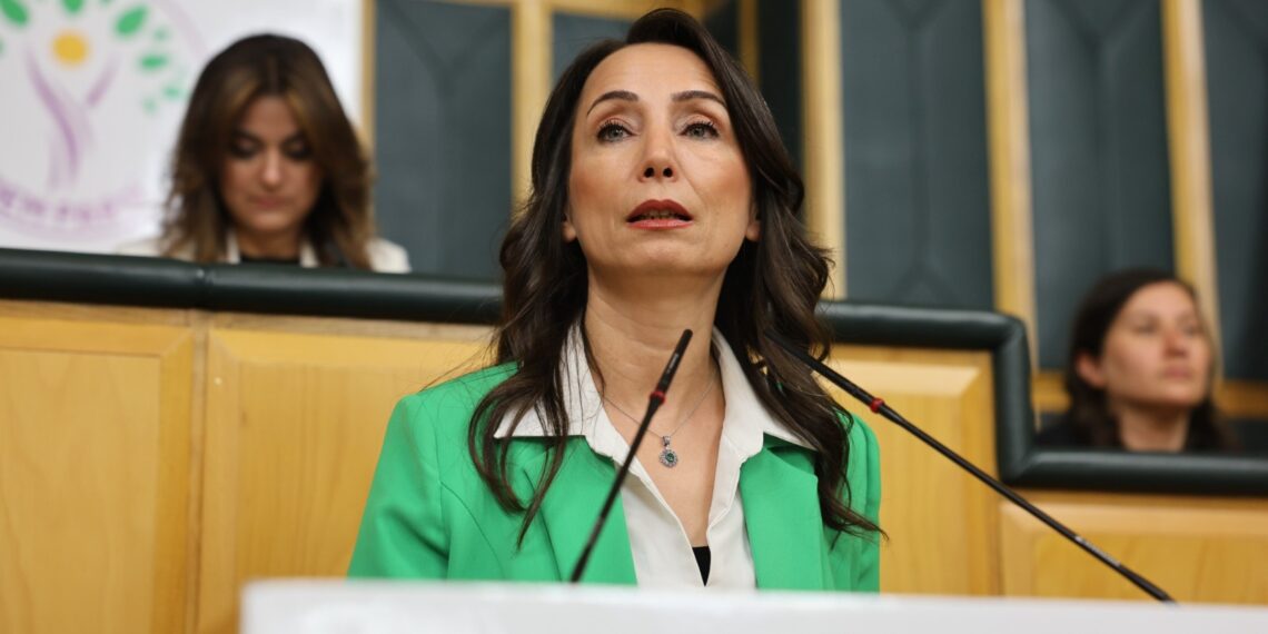 Hatîmogullari: Beriya Meclîs bikeve betlanê divê çarçoveya qanûnî bê amadekirin