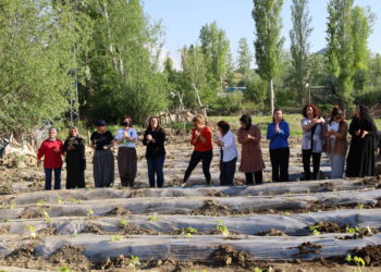 Jinan li Artemêtan şitil çandin
