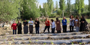 Jinan li Artemêtan şitil çandin