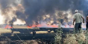 Bîlançoya şewatê 1 aşme yê Rojava: 262 şewatan de 33 hezar û 16 donimî erdê zîretî veşa